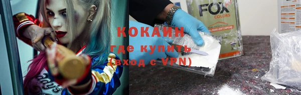амф Гусь-Хрустальный