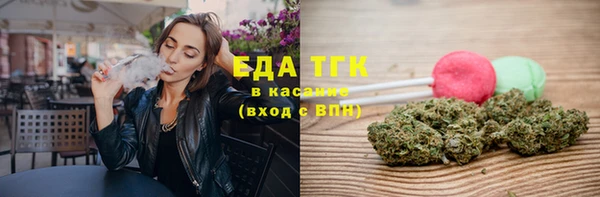 амф Гусь-Хрустальный