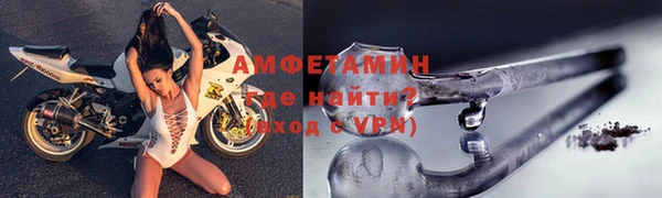 амф Гусь-Хрустальный