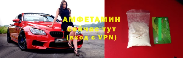 амф Гусь-Хрустальный