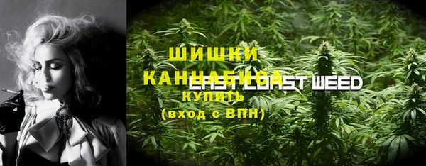 амф Гусь-Хрустальный