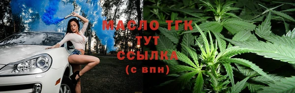 амф Гусь-Хрустальный