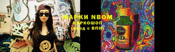 амф Гусь-Хрустальный