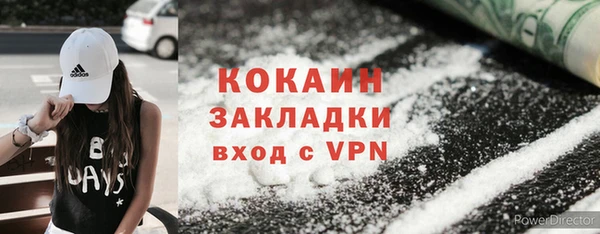 амф Гусь-Хрустальный
