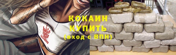 амф Гусь-Хрустальный