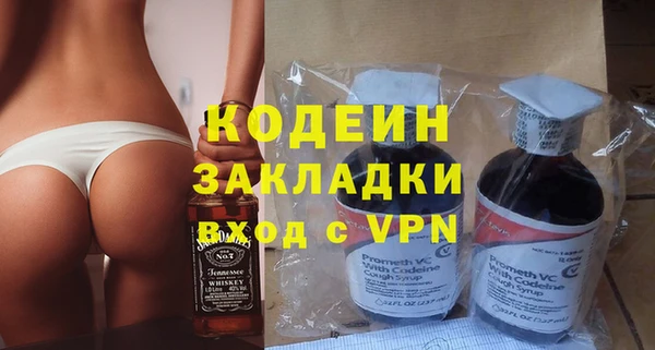 амф Гусь-Хрустальный